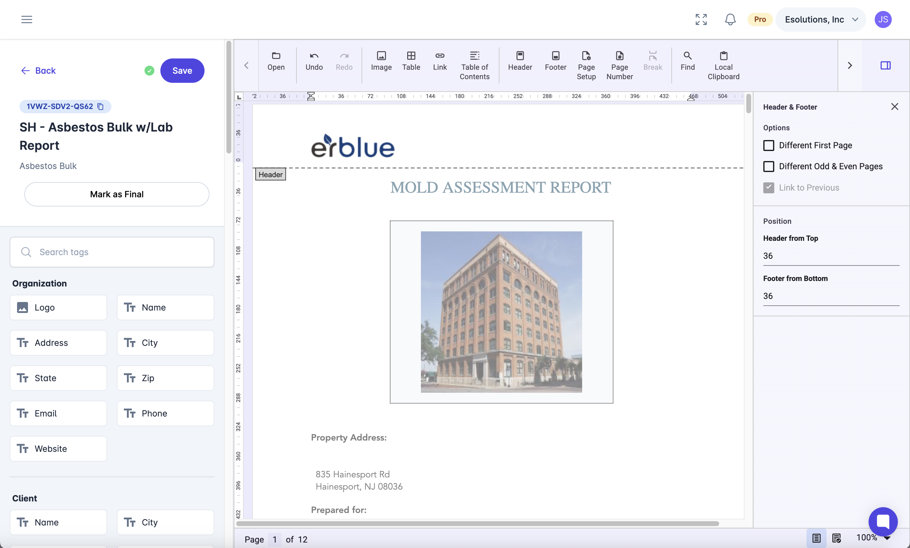 erblue report editor interface